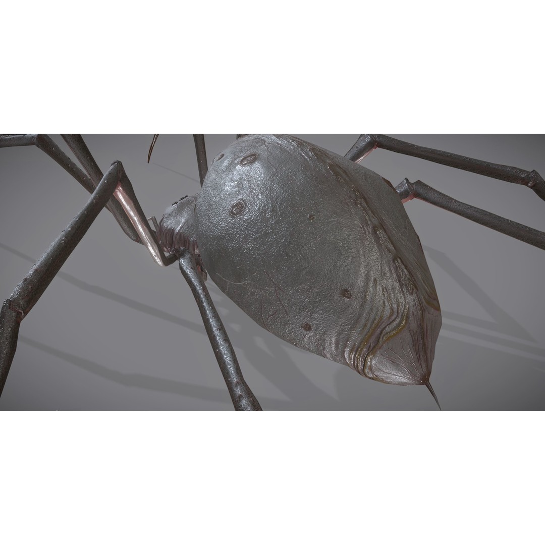 Spider Monster 3D Model – Low Poly Animated Creature, FBX - View 21