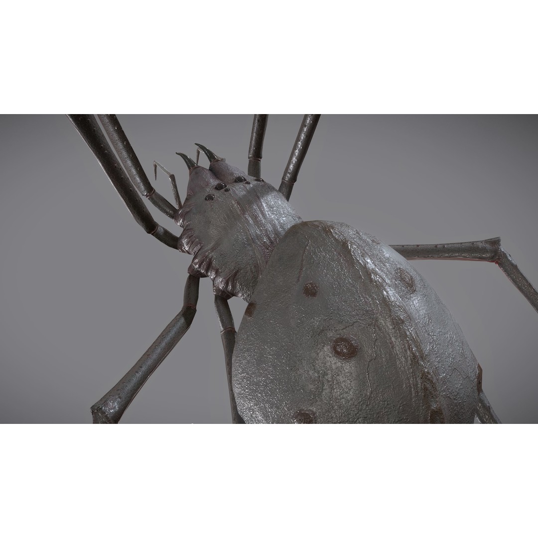 Spider Monster 3D Model – Low Poly Animated Creature, FBX - View 22