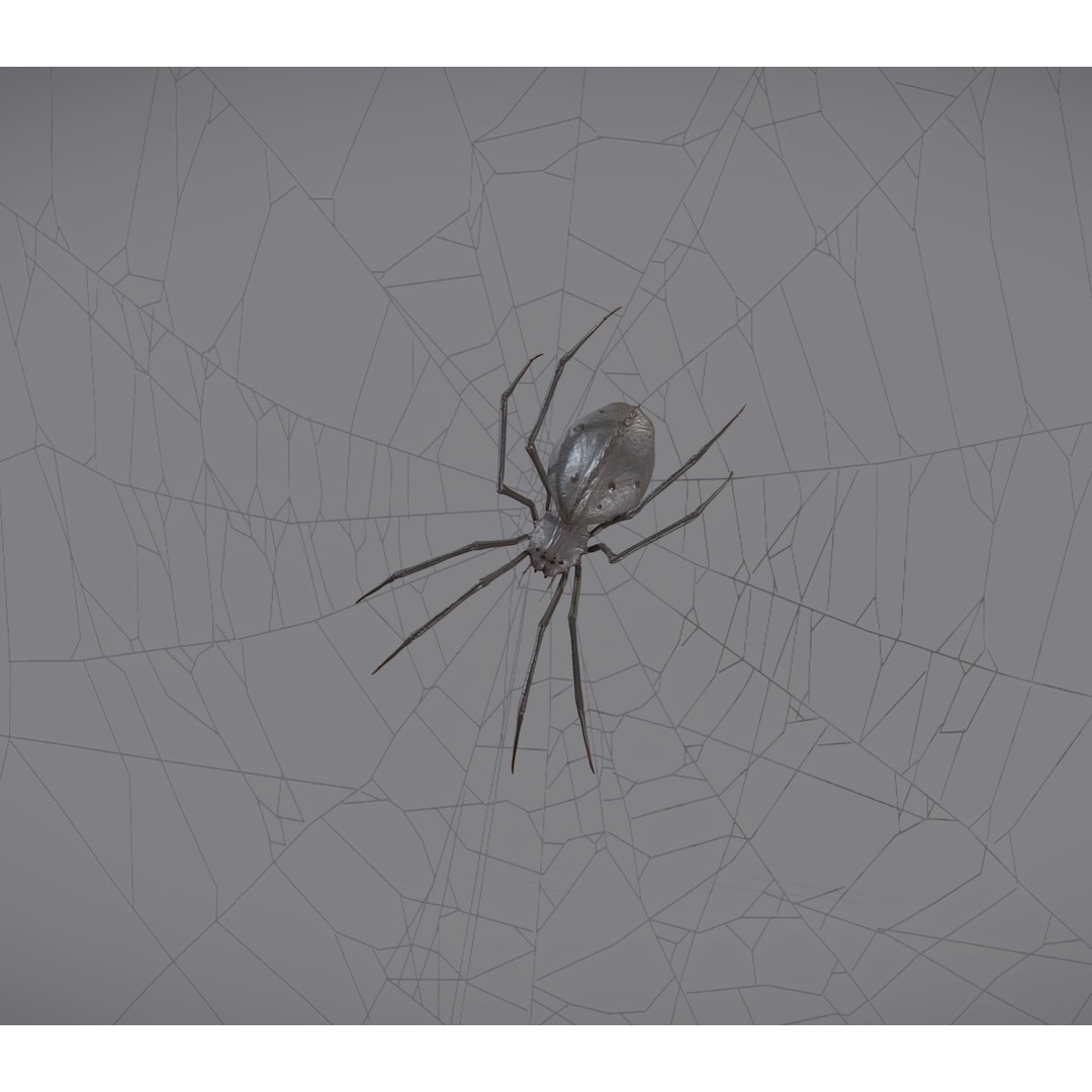 Spider Monster 3D Model – Low Poly Animated Creature, FBX - View 23