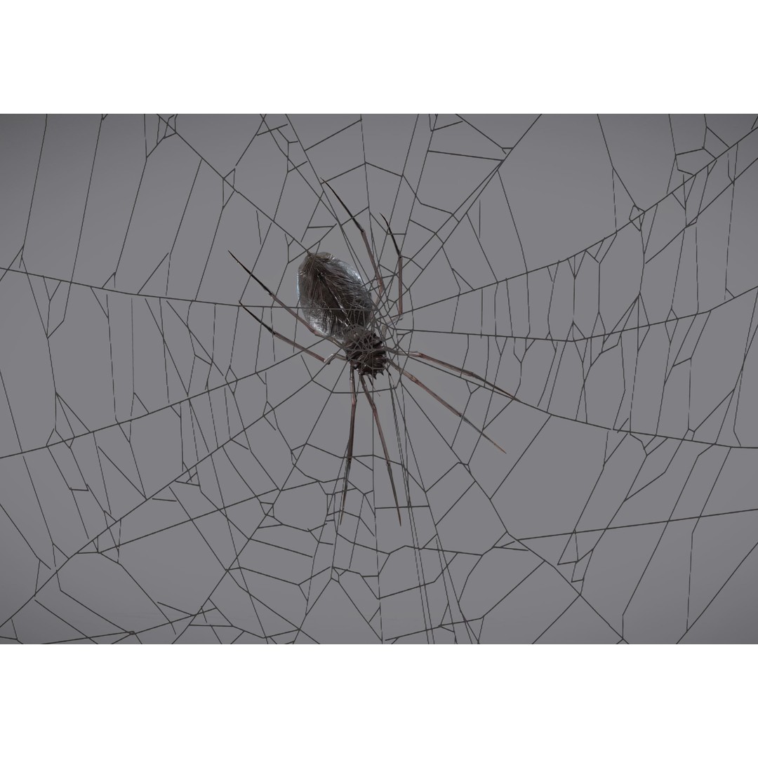 Spider Monster 3D Model – Low Poly Animated Creature, FBX - View 24