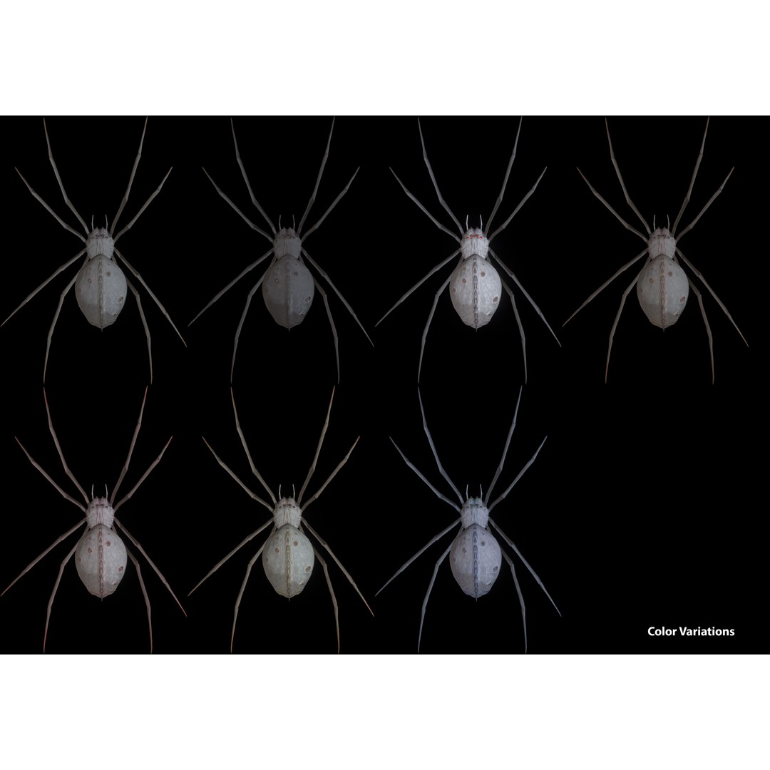 Spider Monster 3D Model – Low Poly Animated Creature, FBX - View 25