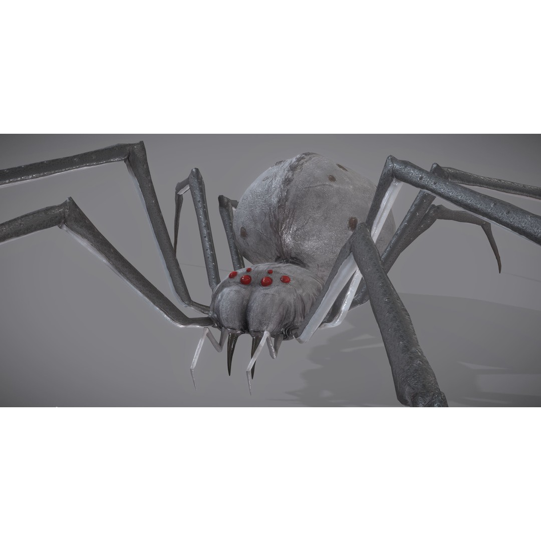 Spider Monster 3D Model – Low Poly Animated Creature, FBX - View 26