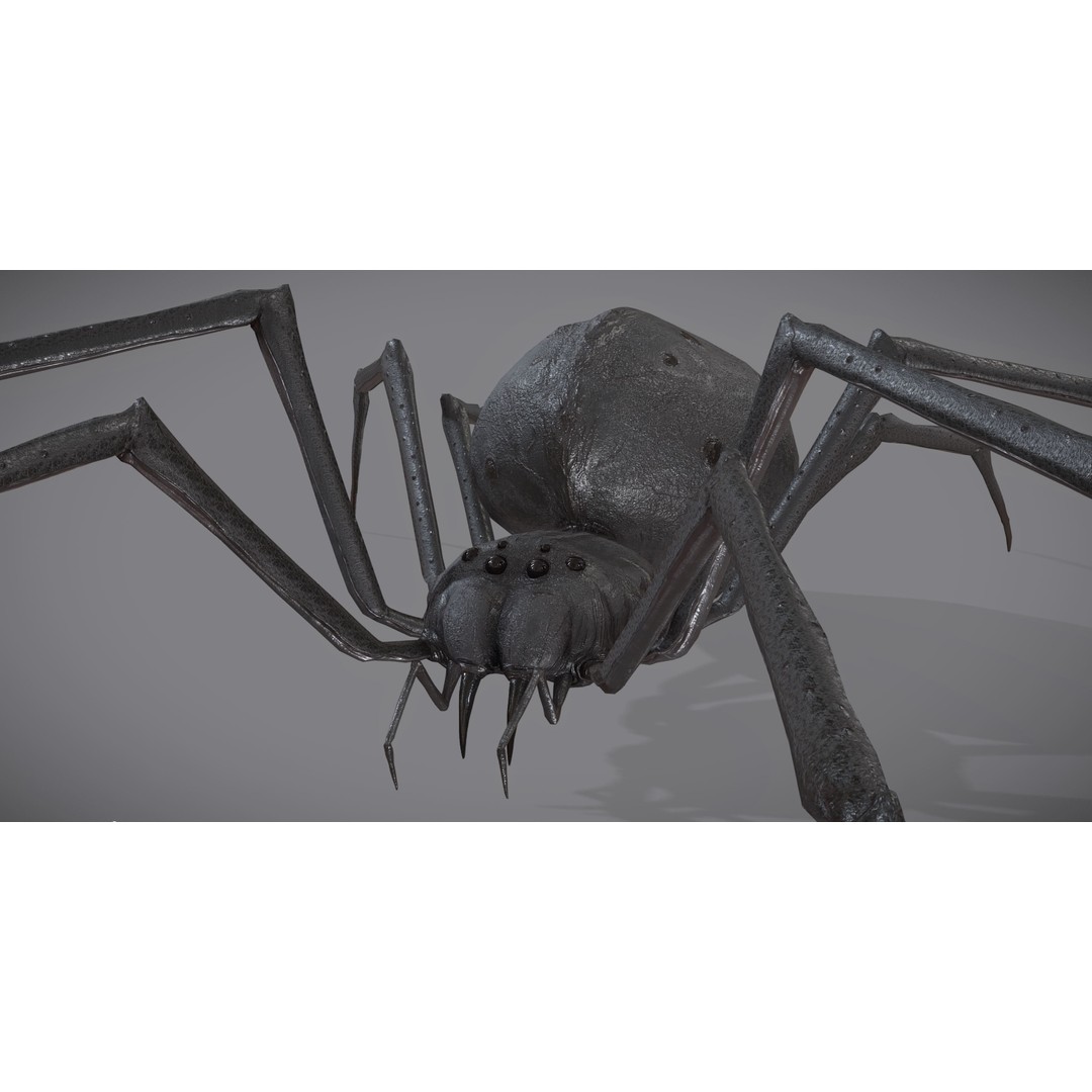 Spider Monster 3D Model – Low Poly Animated Creature, FBX - View 27