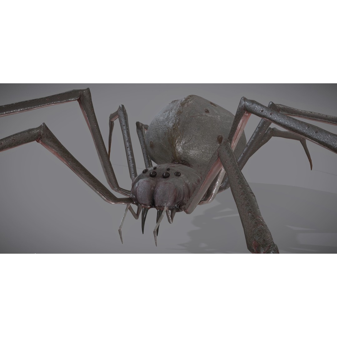 Spider Monster 3D Model – Low Poly Animated Creature, FBX - View 28