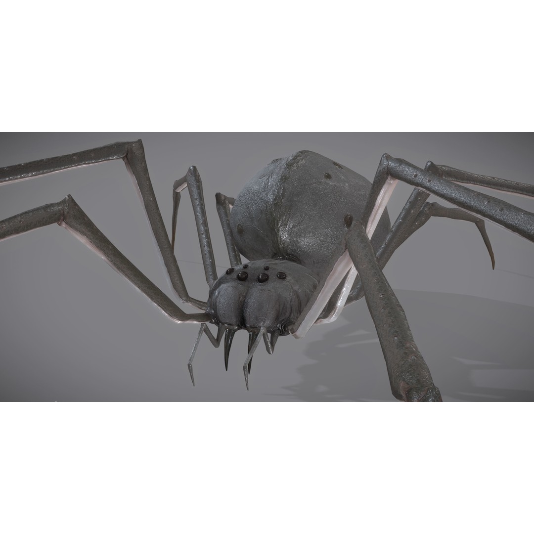Spider Monster 3D Model – Low Poly Animated Creature, FBX - View 29