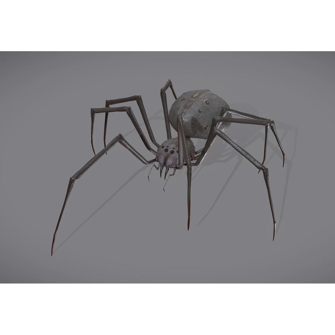 Spider Monster 3D Model – Low Poly Animated Creature, FBX - View 3