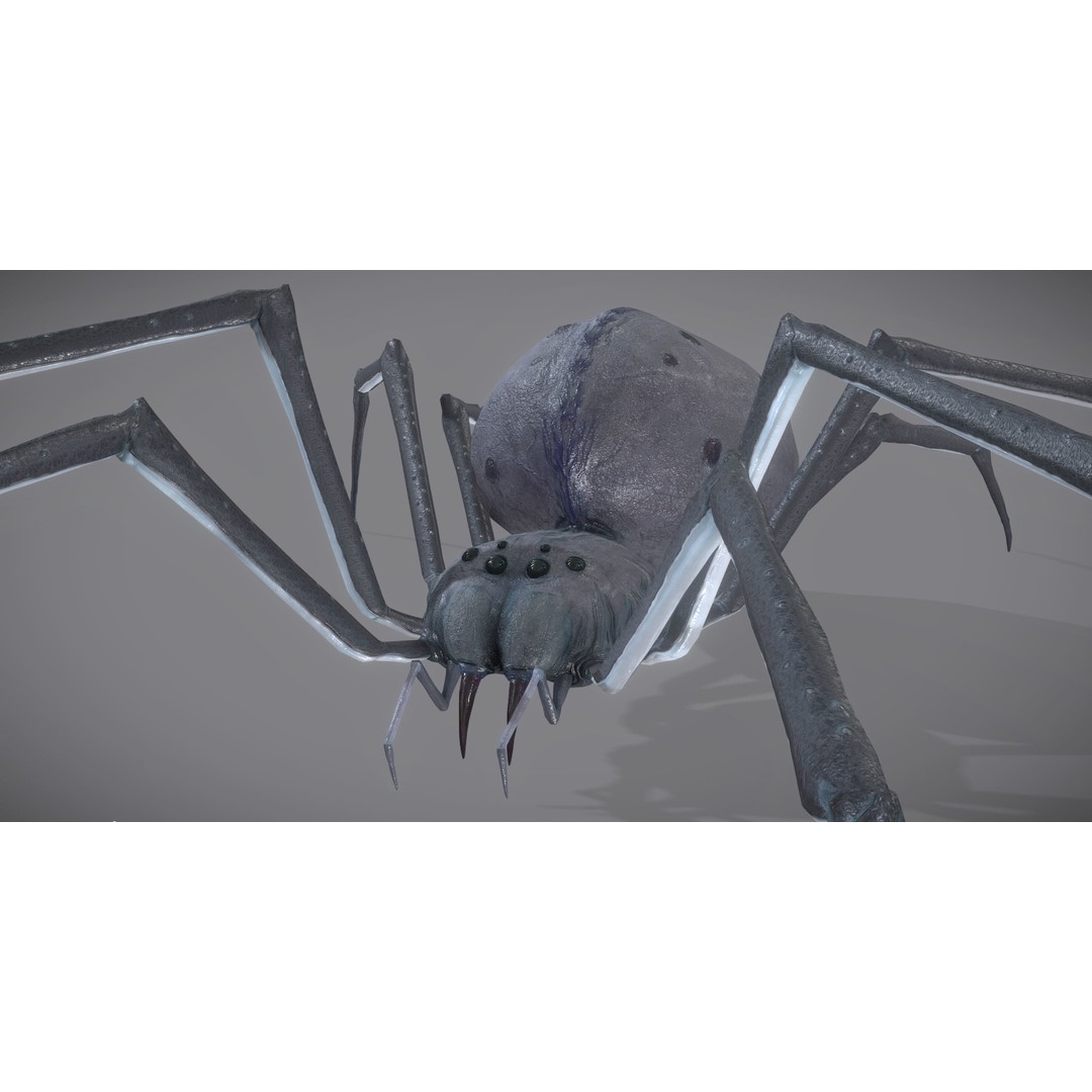Spider Monster 3D Model – Low Poly Animated Creature, FBX - View 30