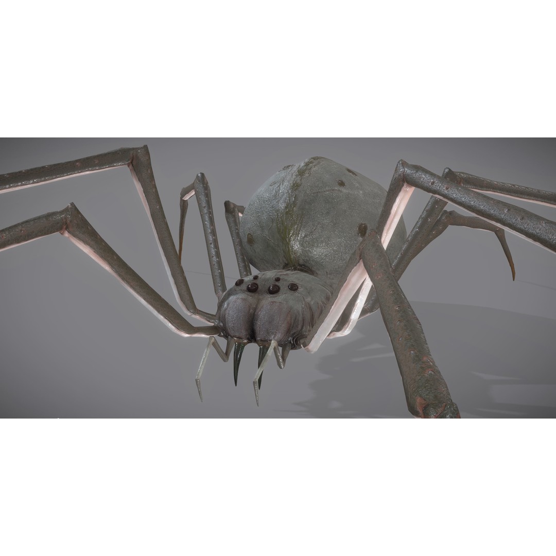 Spider Monster 3D Model – Low Poly Animated Creature, FBX - View 31