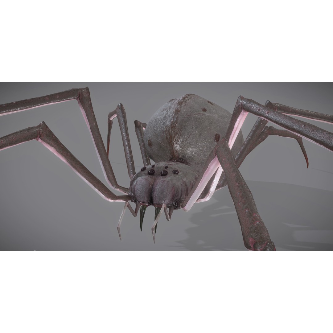Spider Monster 3D Model – Low Poly Animated Creature, FBX - View 32