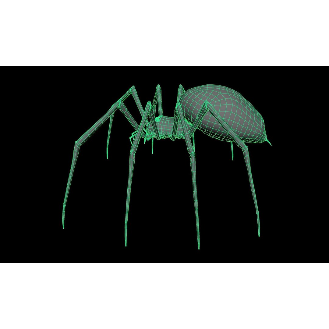 Spider Monster 3D Model – Low Poly Animated Creature, FBX - View 37
