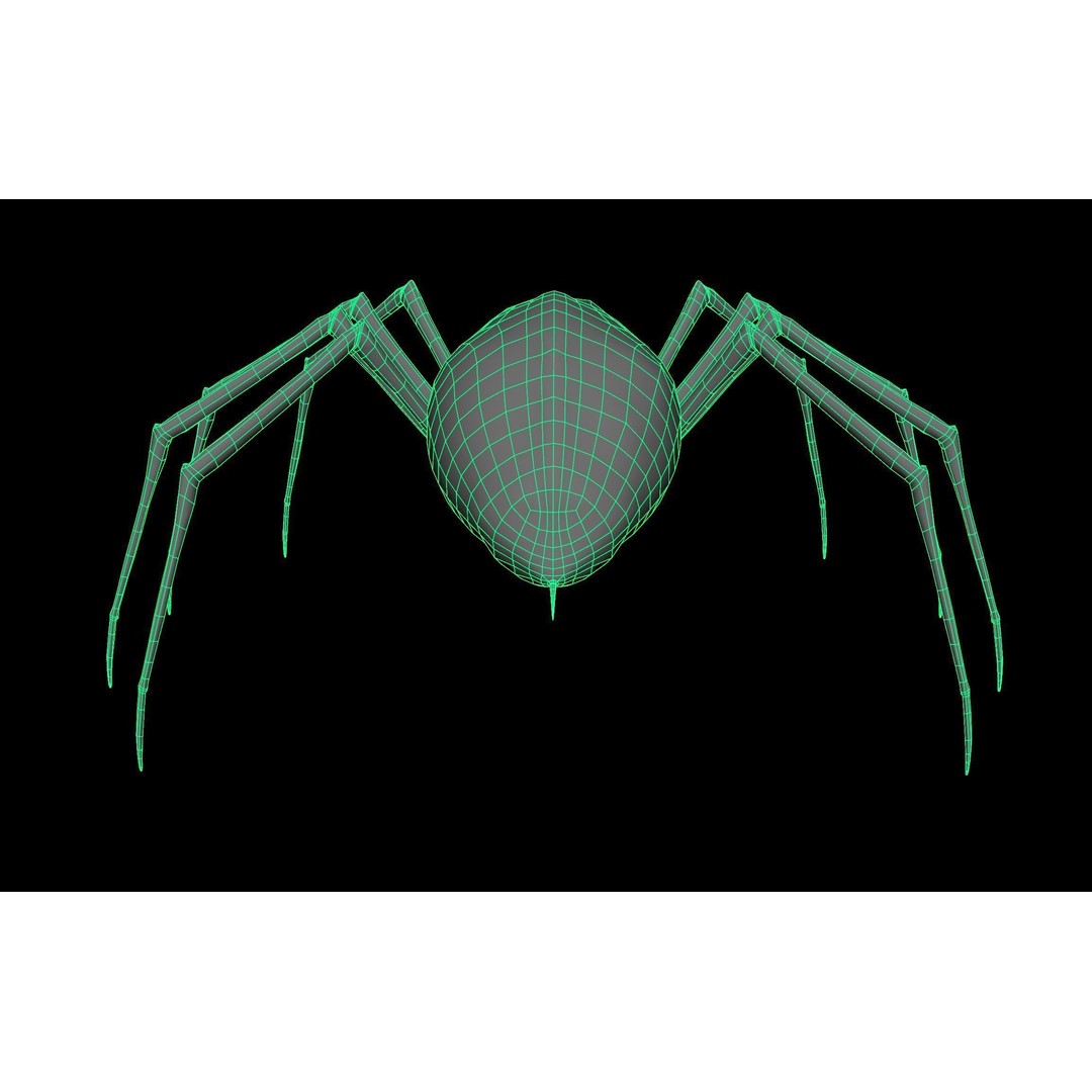 Spider Monster 3D Model – Low Poly Animated Creature, FBX - View 38