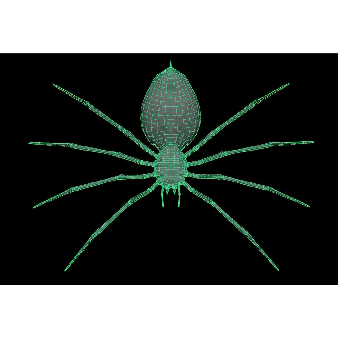 Spider Monster 3D Model – Low Poly Animated Creature, FBX - View 39