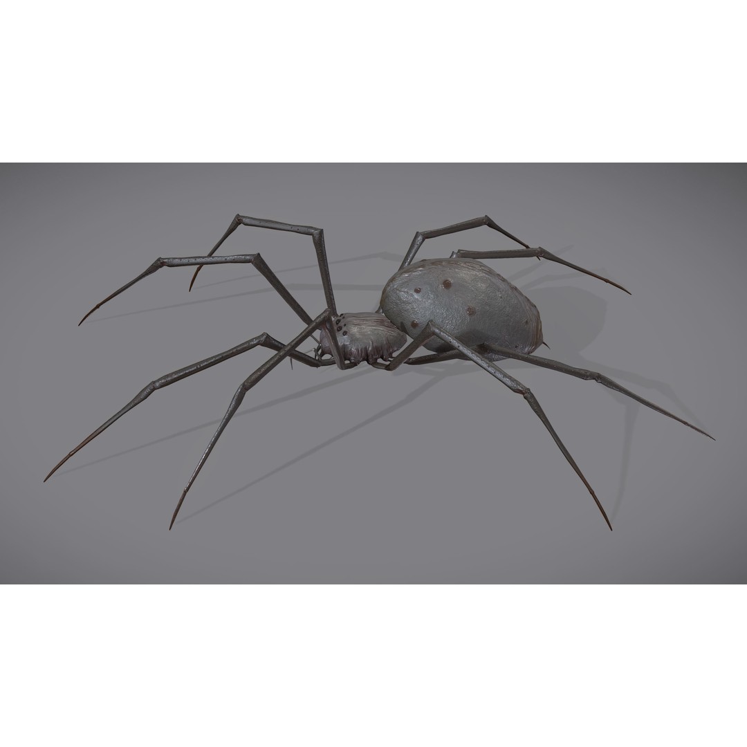 Spider Monster 3D Model – Low Poly Animated Creature, FBX - View 4