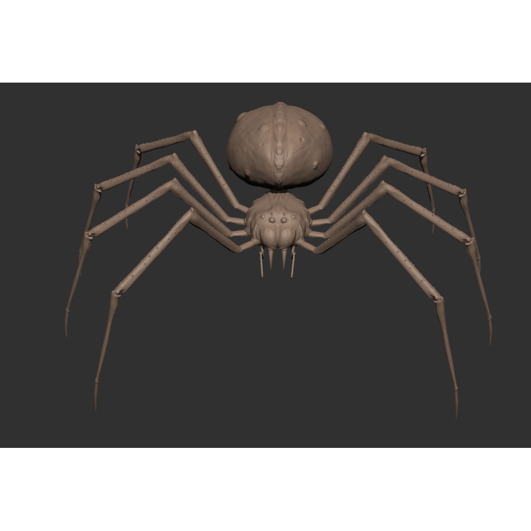 Spider Monster 3D Model – Low Poly Animated Creature, FBX - View 41