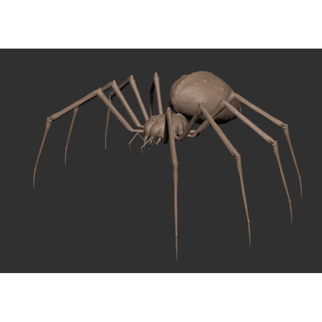 Spider Monster 3D Model – Low Poly Animated Creature, FBX - View 42