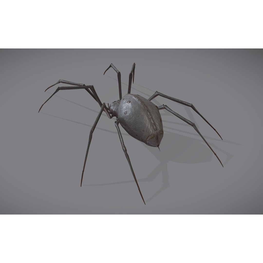Spider Monster 3D Model – Low Poly Animated Creature, FBX - View 5