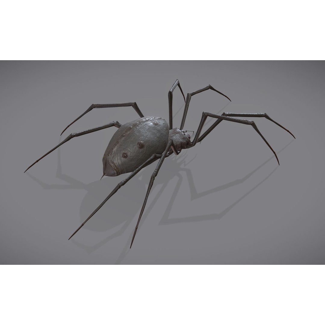 Spider Monster 3D Model – Low Poly Animated Creature, FBX - View 6