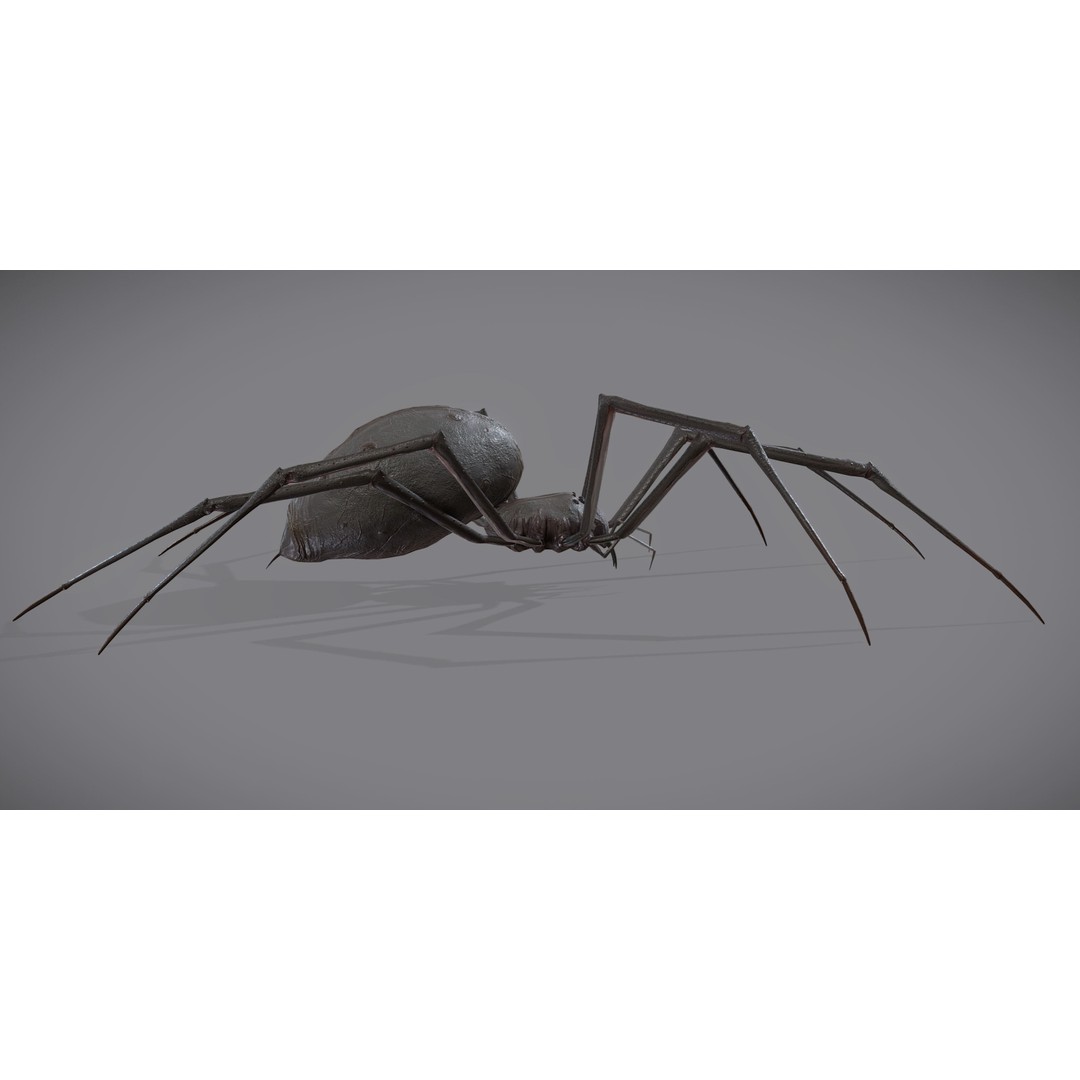 Spider Monster 3D Model – Low Poly Animated Creature, FBX - View 7
