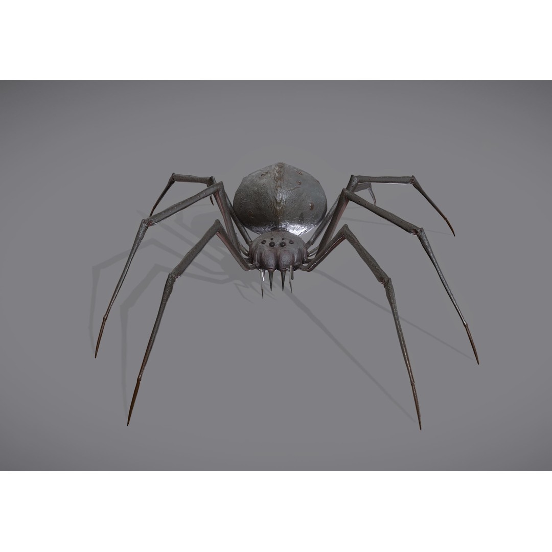 Spider Monster 3D Model – Low Poly Animated Creature, FBX - View 8
