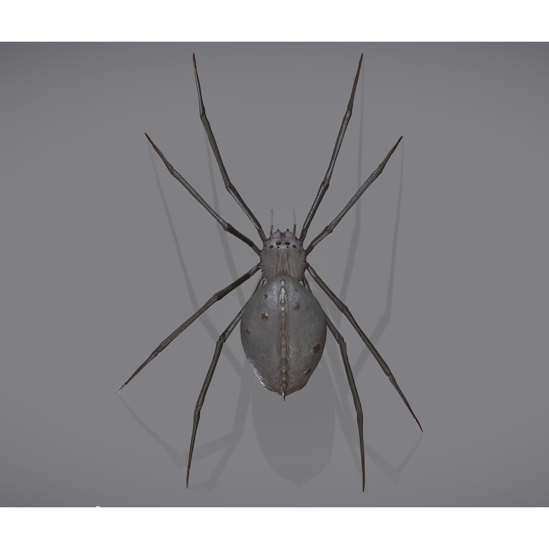 Spider Monster 3D Model – Low Poly Animated Creature, FBX - View 9