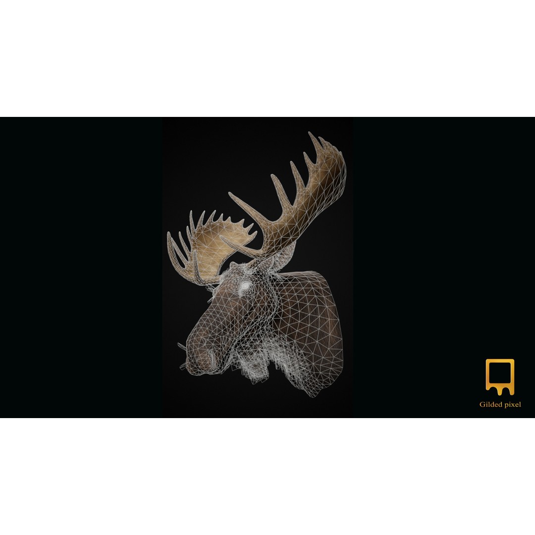 Moose Trophy Head 3D Model – Photorealistic Low Poly Game Asset, FBX