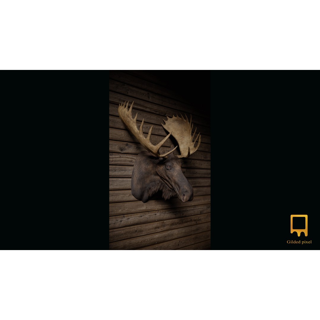 Moose Trophy Head 3D Model – Photorealistic Low Poly Game Asset, FBX - View 3