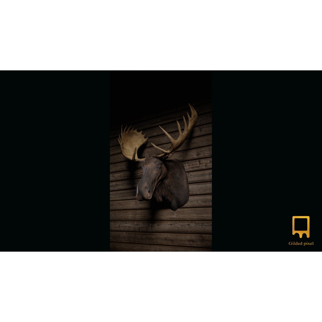 Moose Trophy Head 3D Model – Photorealistic Low Poly Game Asset, FBX - View 4