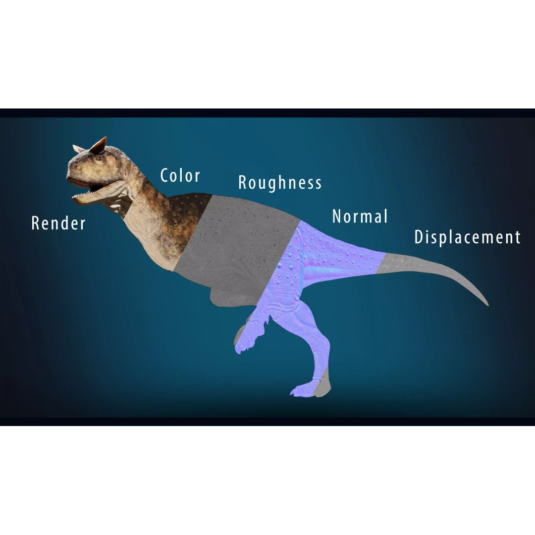 Carnotaurus 3D Model – Low Poly Rigged Asset with PBR Textures - View 13