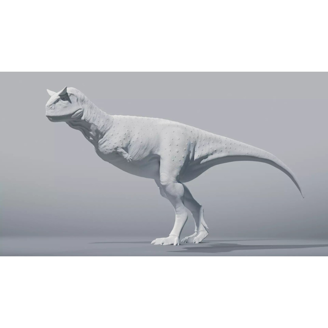 Carnotaurus 3D Model – Low Poly Rigged Asset with PBR Textures - View 14