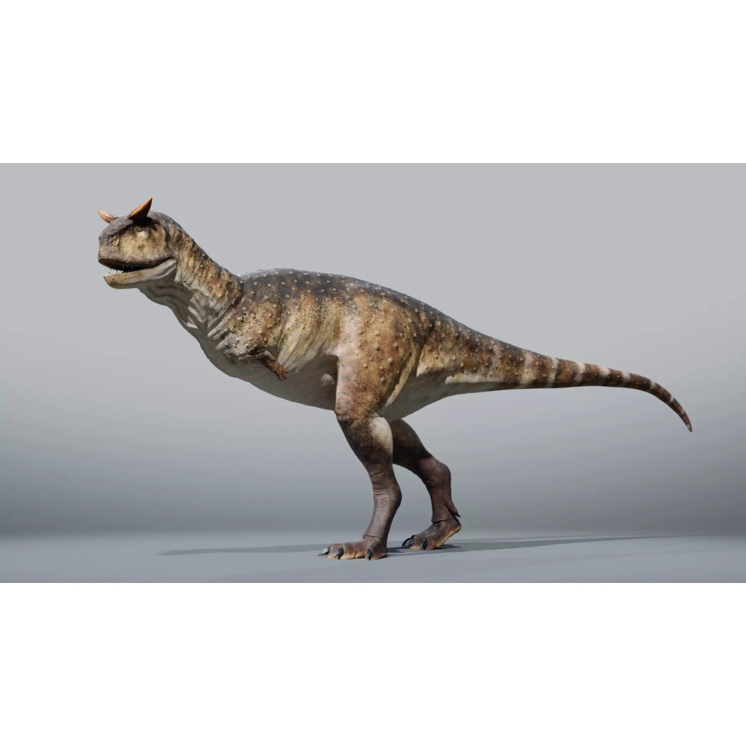 Carnotaurus 3D Model – Low Poly Rigged Asset with PBR Textures - View 2