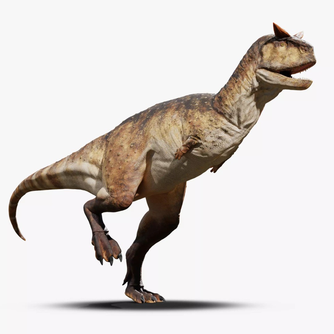 Carnotaurus 3D Model – Low Poly Rigged Asset with PBR Textures - View 3