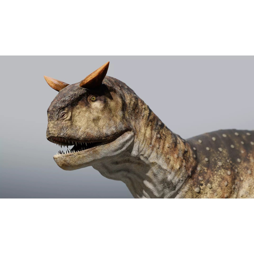 Carnotaurus 3D Model – Low Poly Rigged Asset with PBR Textures - View 4