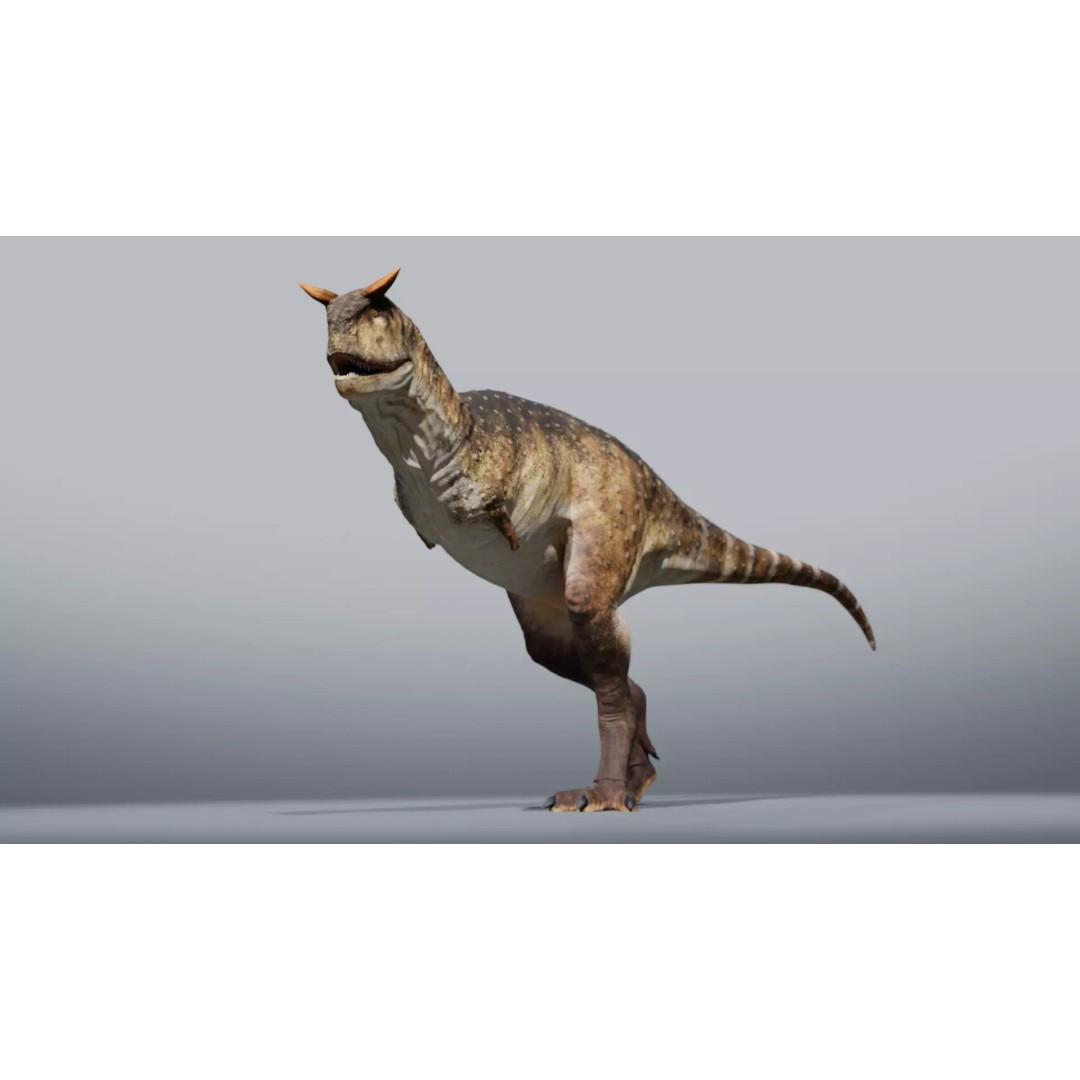 Carnotaurus 3D Model – Low Poly Rigged Asset with PBR Textures - View 5