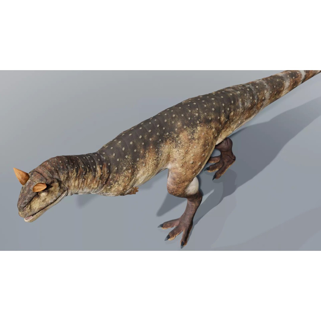 Carnotaurus 3D Model – Low Poly Rigged Asset with PBR Textures - View 7