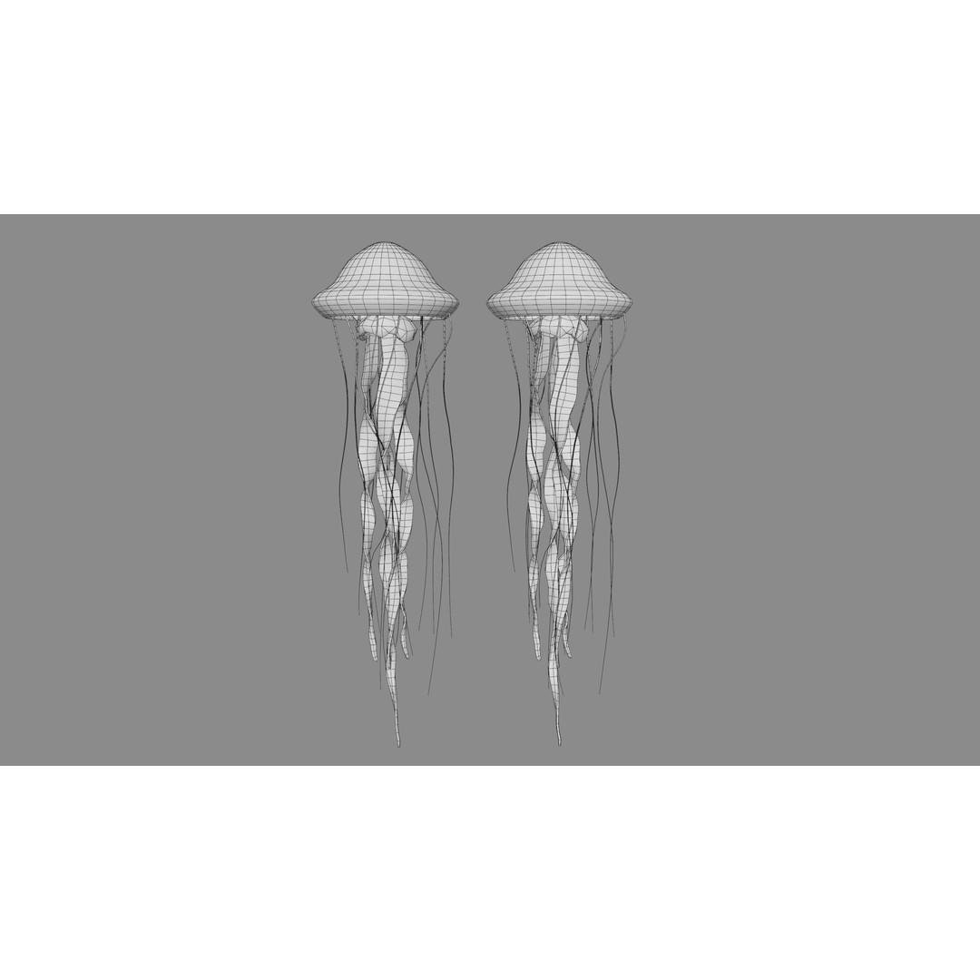 Jellyfish 3D Model – Low Poly Animated Marine Asset, FBX, PBR - View 27