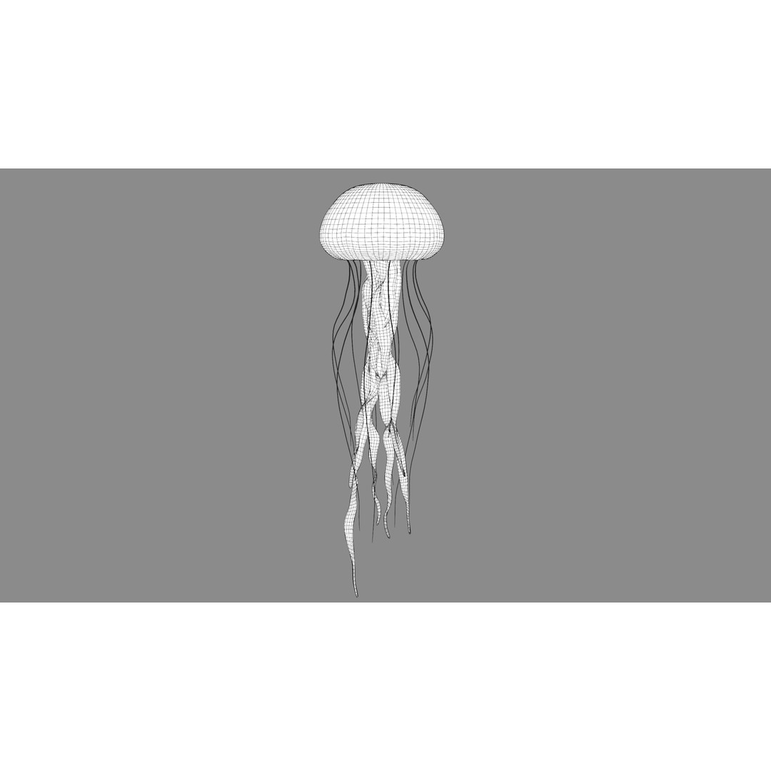 Jellyfish 3D Model – Low Poly Animated Marine Asset, FBX, PBR - View 28