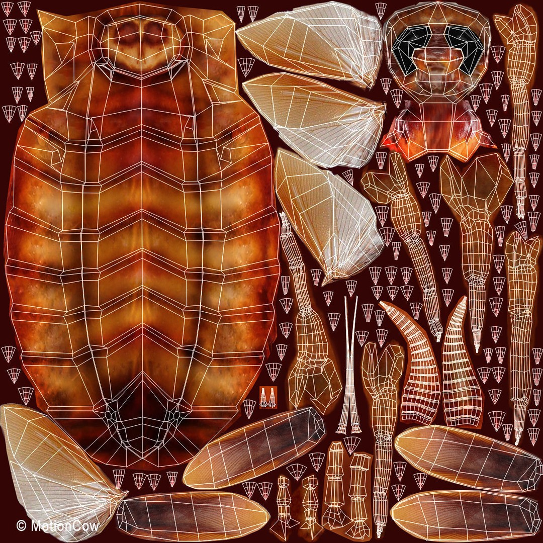 Realistic Cockroach 3D Model – Rigged Insect Asset, FBX
