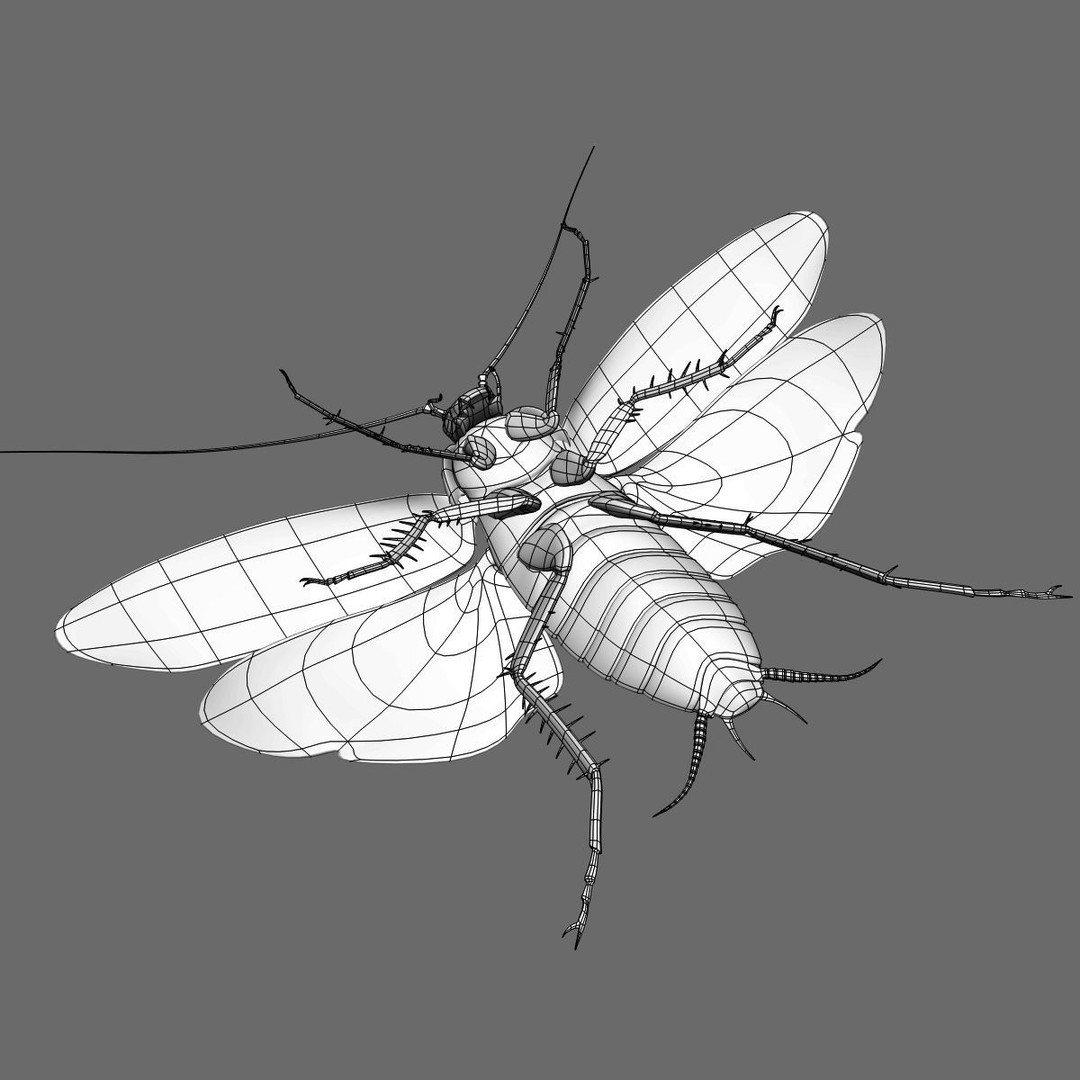 Realistic Cockroach 3D Model – Rigged Insect Asset, FBX - View 17