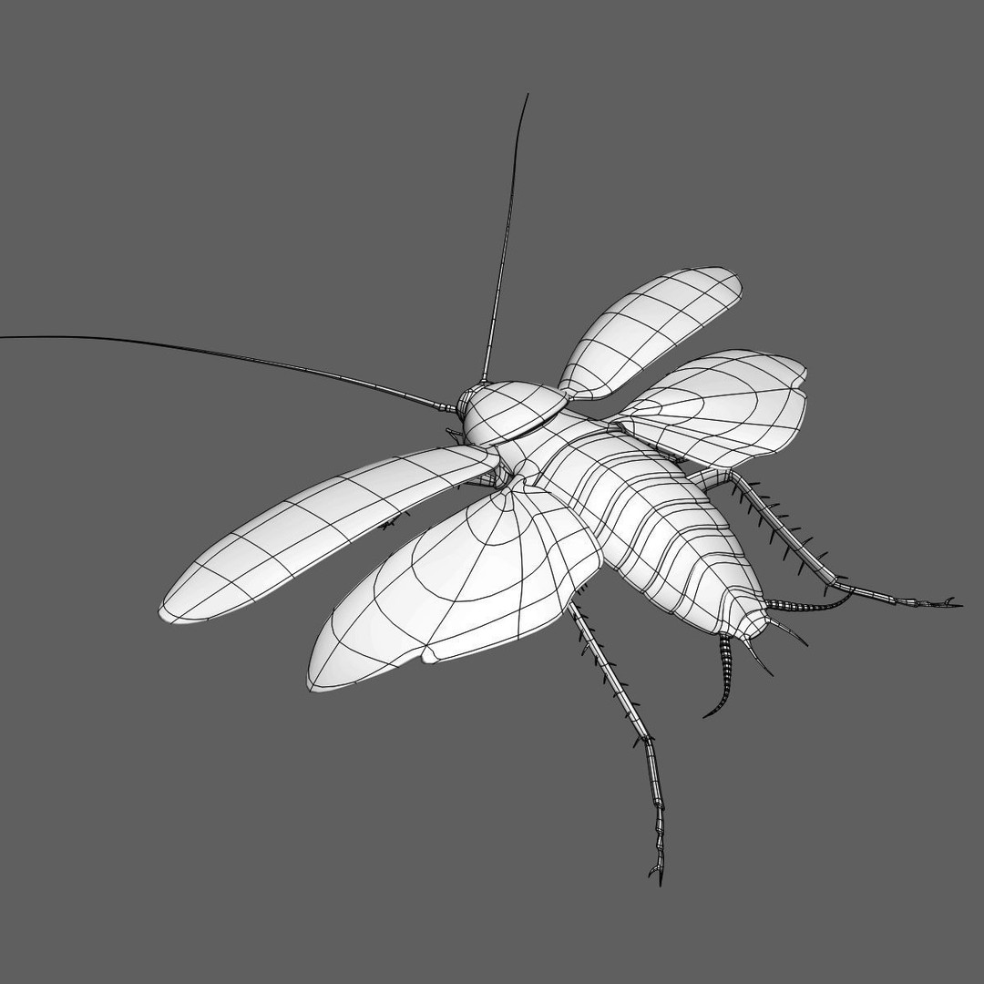 Realistic Cockroach 3D Model – Rigged Insect Asset, FBX - View 18