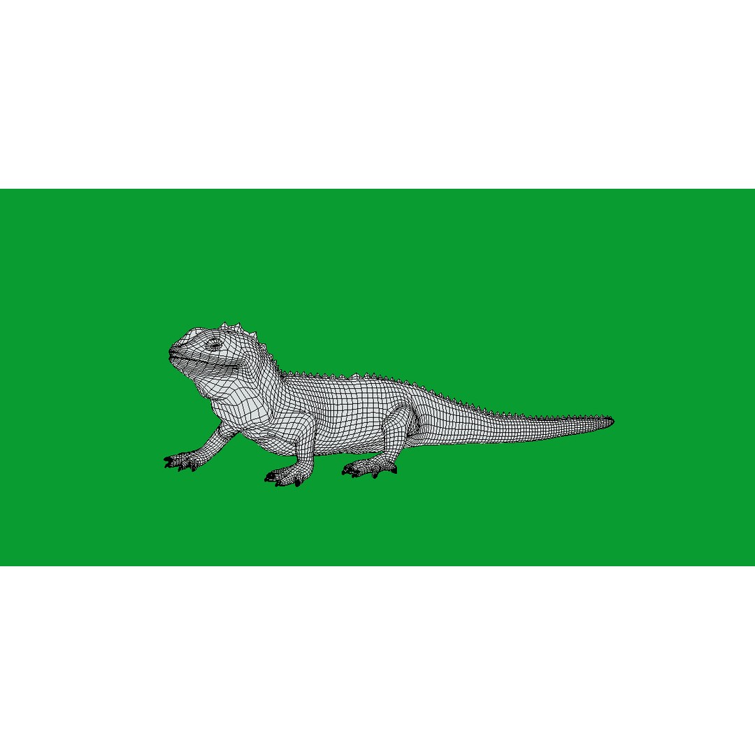 Tuatara Reptile 3D Model – Low Poly Game Ready with Animations - View 13