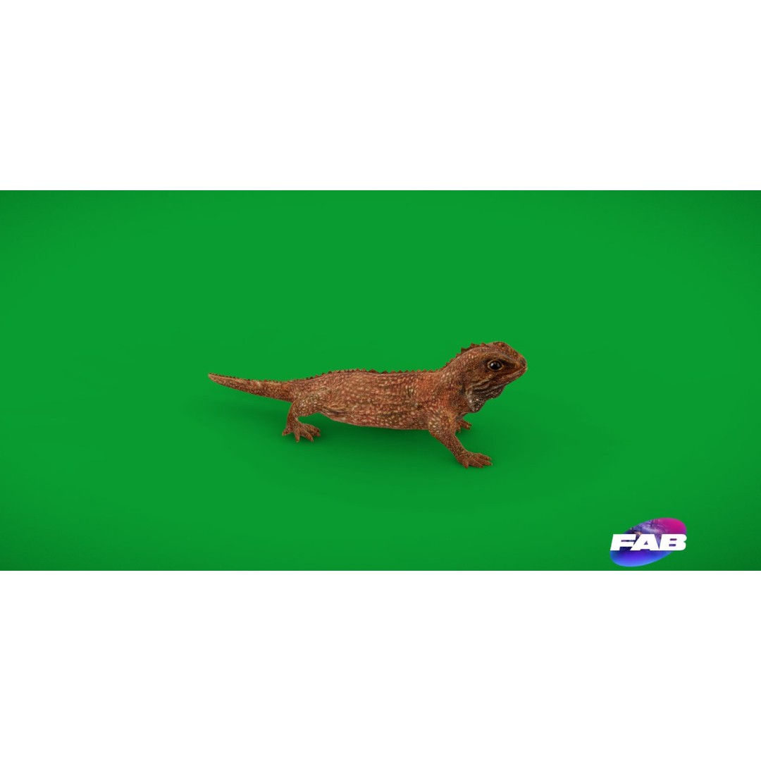 Tuatara Reptile 3D Model – Low Poly Game Ready with Animations - View 15