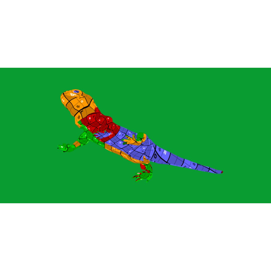 Tuatara Reptile 3D Model – Low Poly Game Ready with Animations - View 19