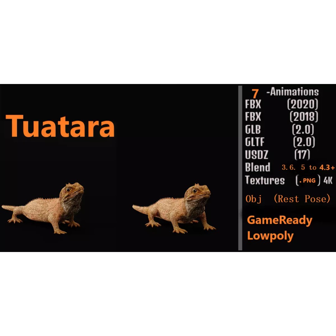 Tuatara Reptile 3D Model – Low Poly Game Ready with Animations - View 2
