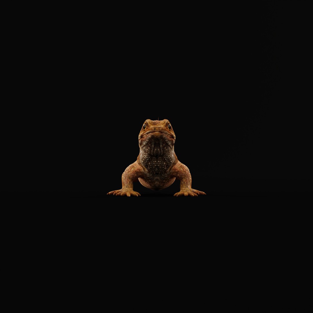Tuatara Reptile 3D Model – Low Poly Game Ready with Animations - View 30