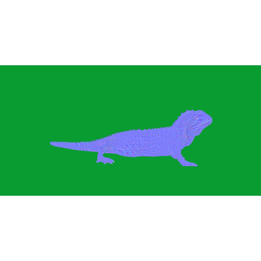 Tuatara Reptile 3D Model – Low Poly Game Ready with Animations - View 7