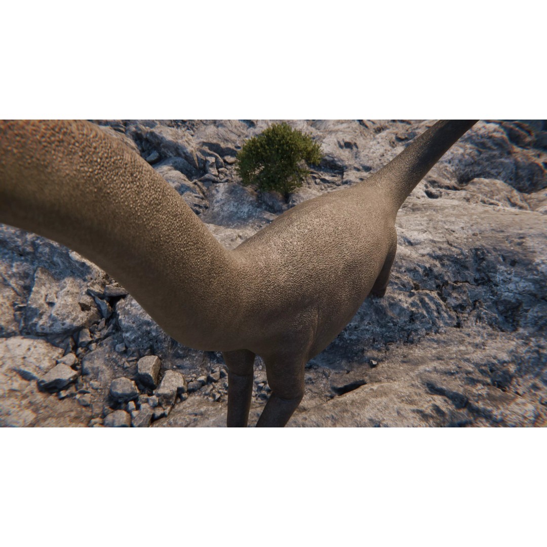 Brachiosaurus 3D Model – Rigged Low-Poly Dinosaur with PBR Textures - View 14