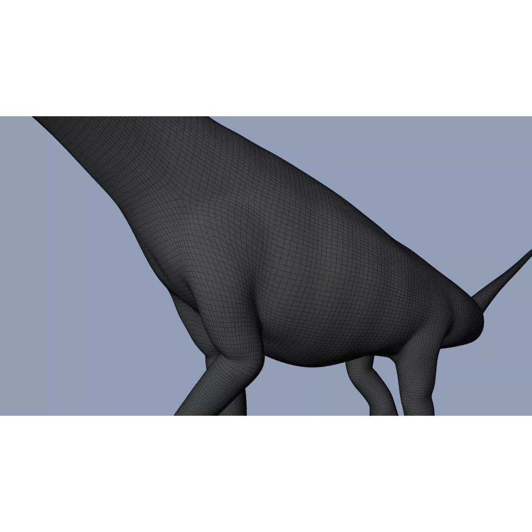 Brachiosaurus 3D Model – Rigged Low-Poly Dinosaur with PBR Textures - View 21