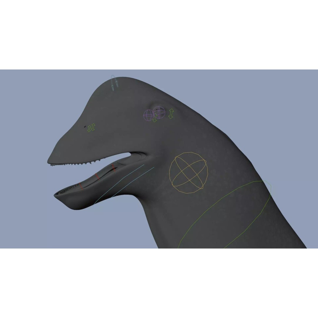 Brachiosaurus 3D Model – Rigged Low-Poly Dinosaur with PBR Textures - View 24