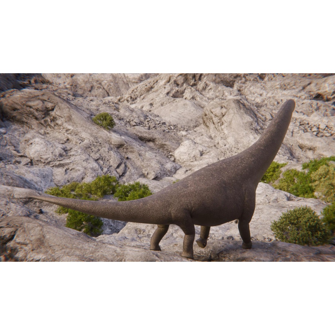 Brachiosaurus 3D Model – Rigged Low-Poly Dinosaur with PBR Textures - View 9