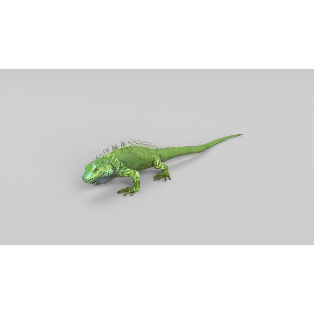 Iguana 3D Model – Low Poly Game Asset, PBR Textures, FBX - View 11